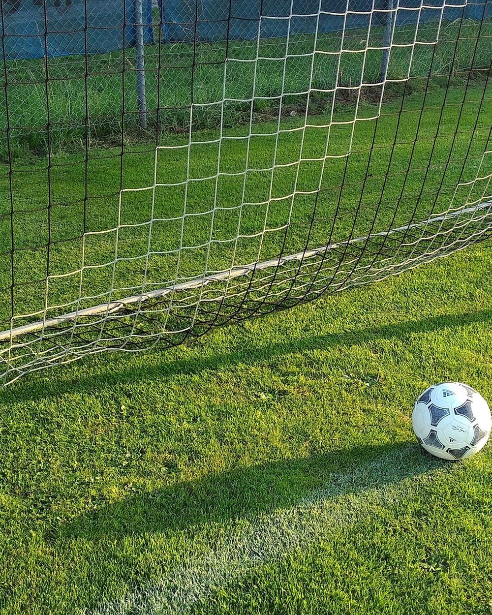 Pelota entrando al arco